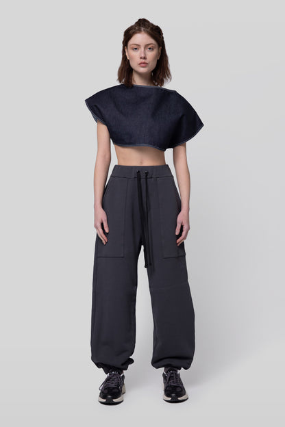 [card:women-primary][card:all-secondary] Full body view of No Sweat pants in deep grey organic cotton and Fly Girl Crop top on model