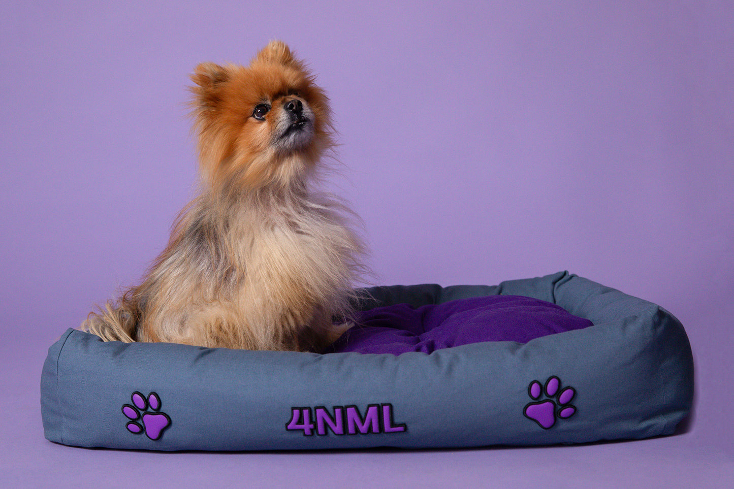 Dog resting on 4NML canvas cotton pet bed with lavender AppleSkin embroidery, blue and purple colorway