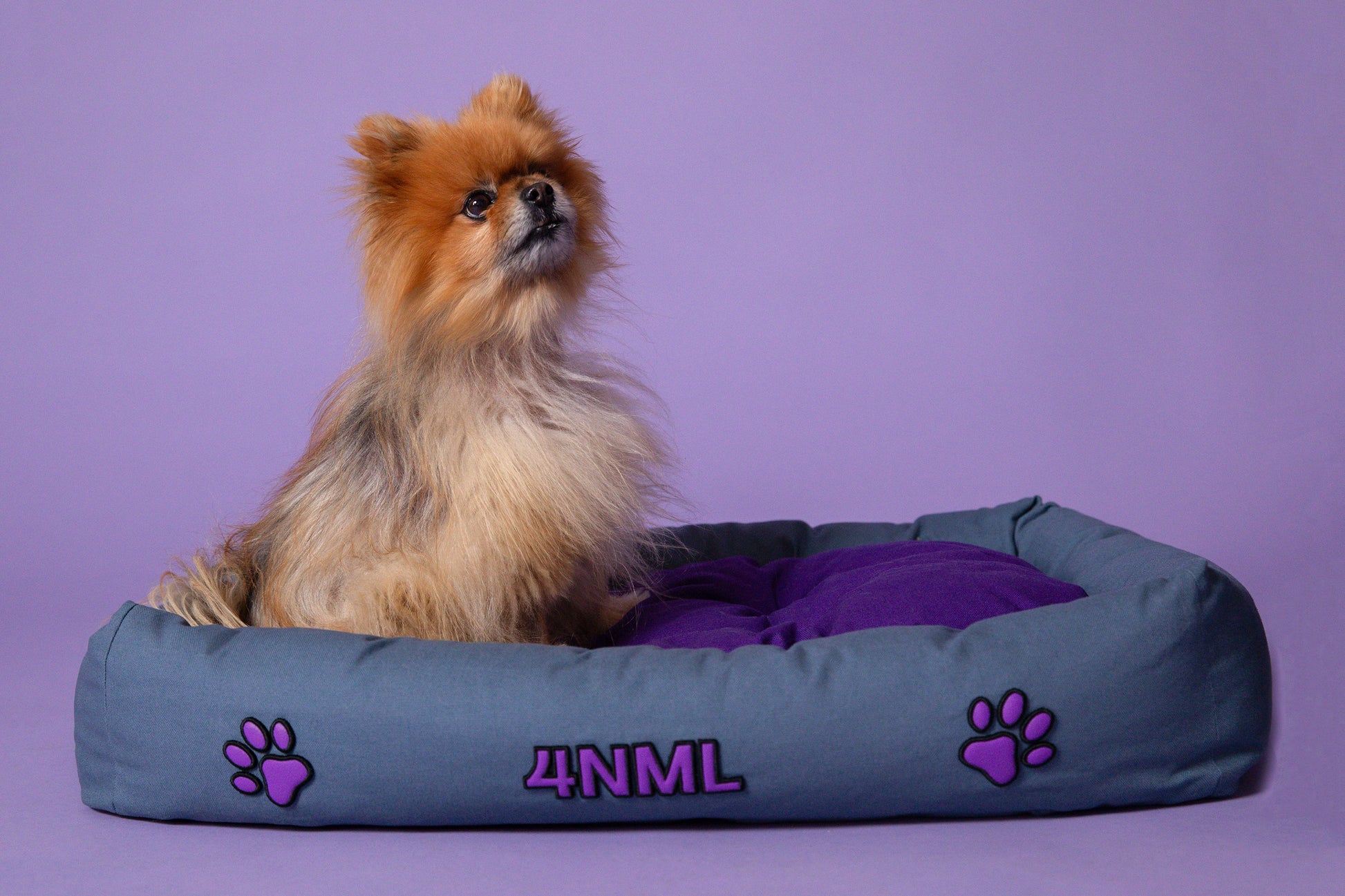 Dog resting on 4NML canvas cotton pet bed with lavender AppleSkin embroidery, blue and purple colorway