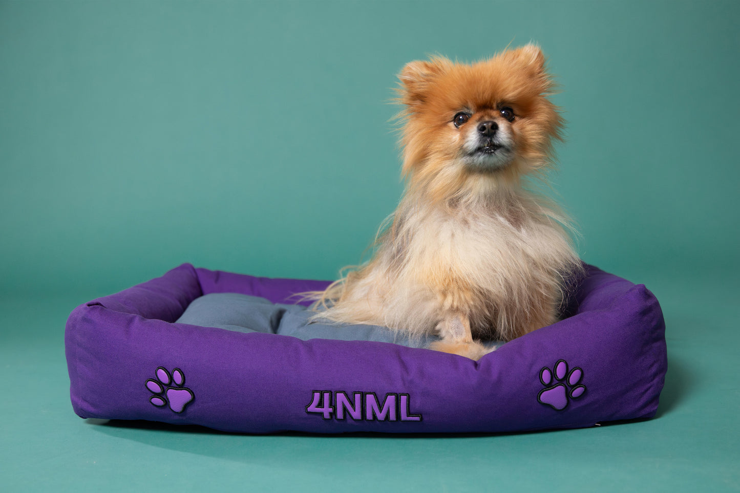 Dog sitting on canvas cotton pet bed with lavender AppleSkin embroidery, purple base with blue cushion