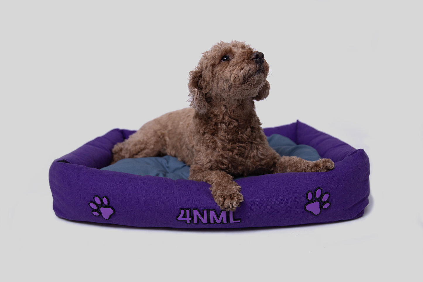 Dog lying on canvas cotton pet bed with lavender AppleSkin embroidery, purple colorway