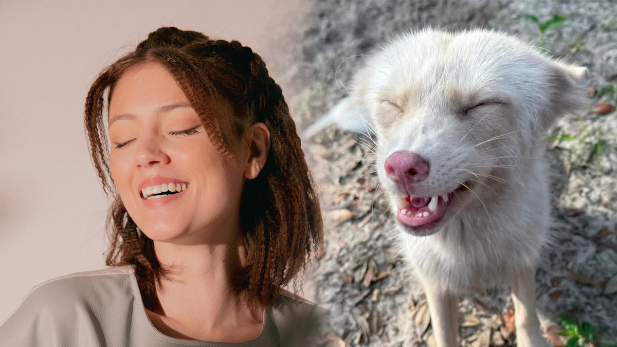 Smiling female model with eyes closed paired with white fox showing teeth, mirrored expression portrait