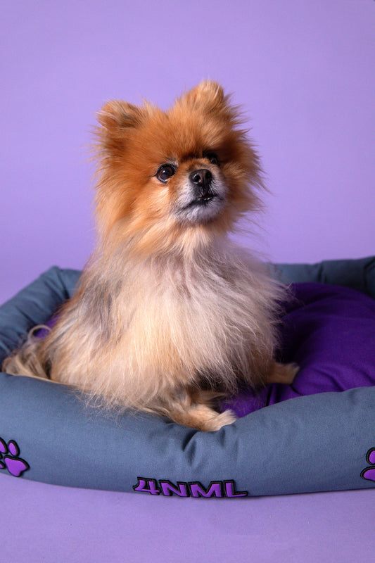 Dog sitting on canvas cotton pet bed with lavender AppleSkin embroidery, purple base with blue cushion