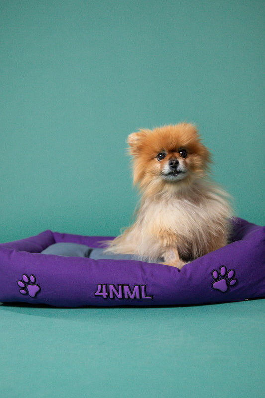 Dog resting on 4NML canvas cotton pet bed with lavender AppleSkin embroidery, blue and purple colorway